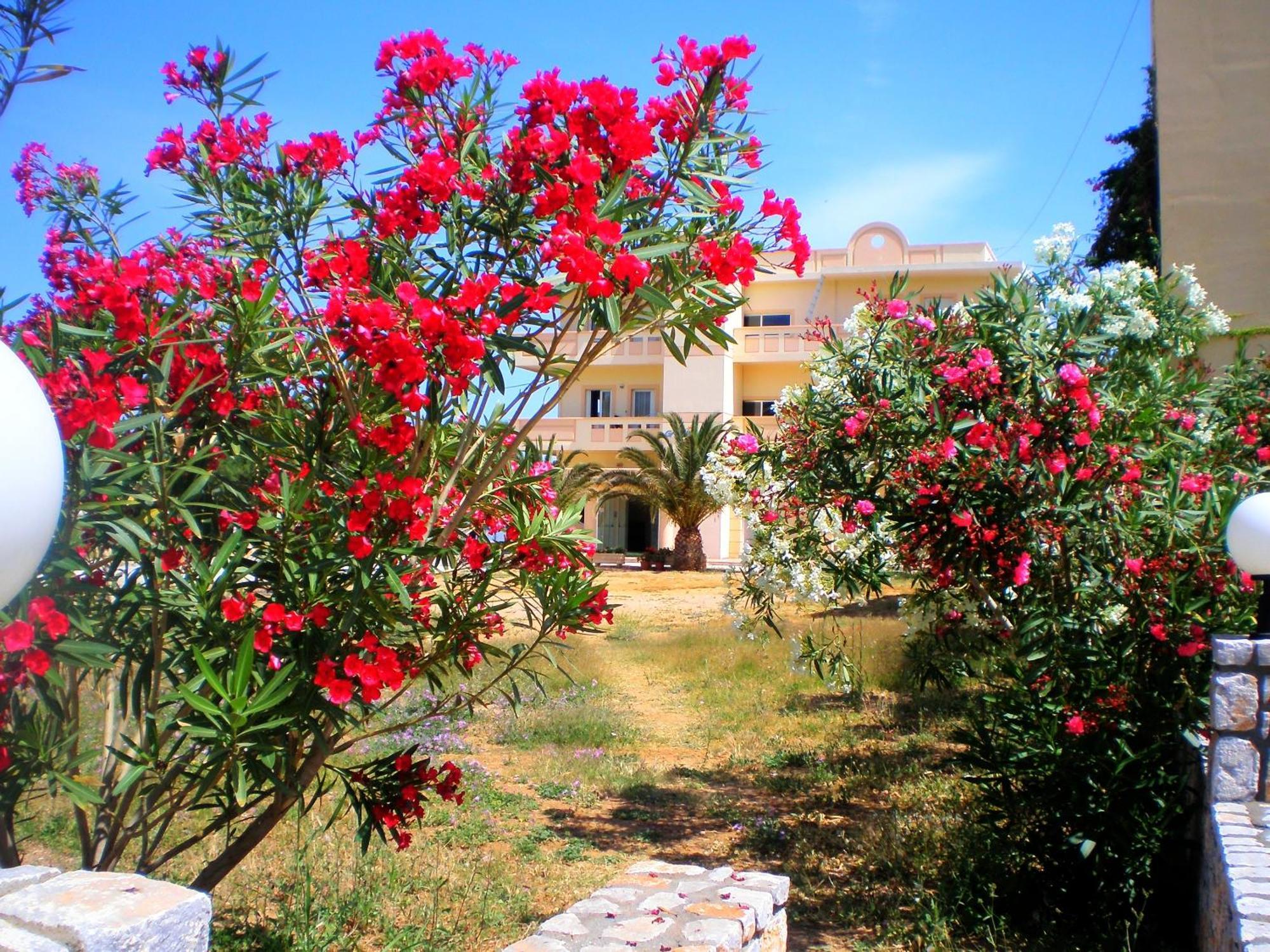 Galini Beach Hotel Kíssamos Esterno foto